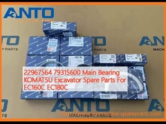 22967564 79315600 Главный подшипник KOMATSU Запчасти экскаватора для EC160C EC180C